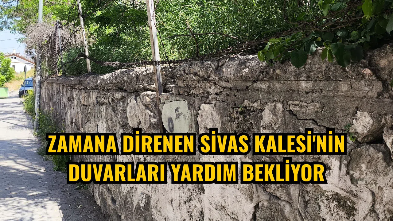 Zamana direnen Sivas Kalesi'nin duvarları yardım bekliyor
