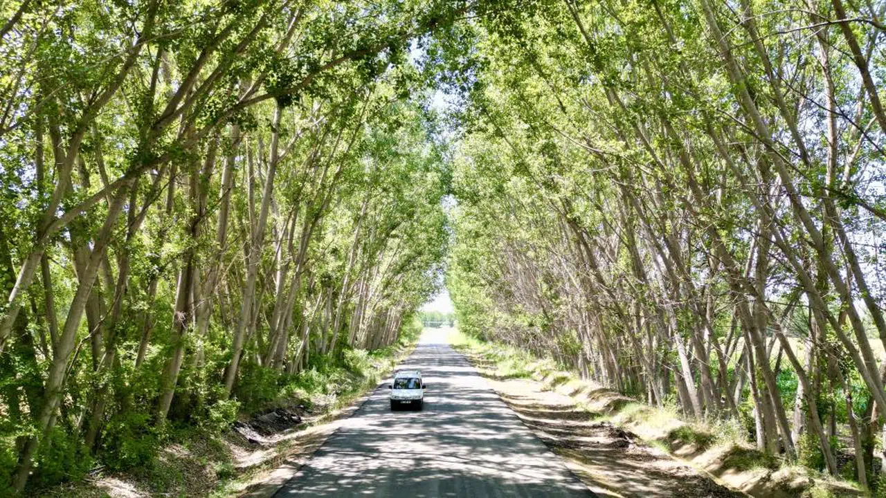 Doğanın Sanata Dönüştüğü Yer!