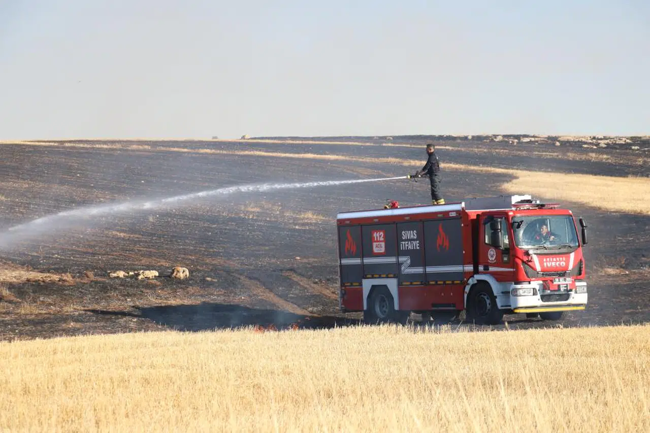 Çiftçinin En Büyük Yanılgısı! Sivaslı Profesör Açıkladı
