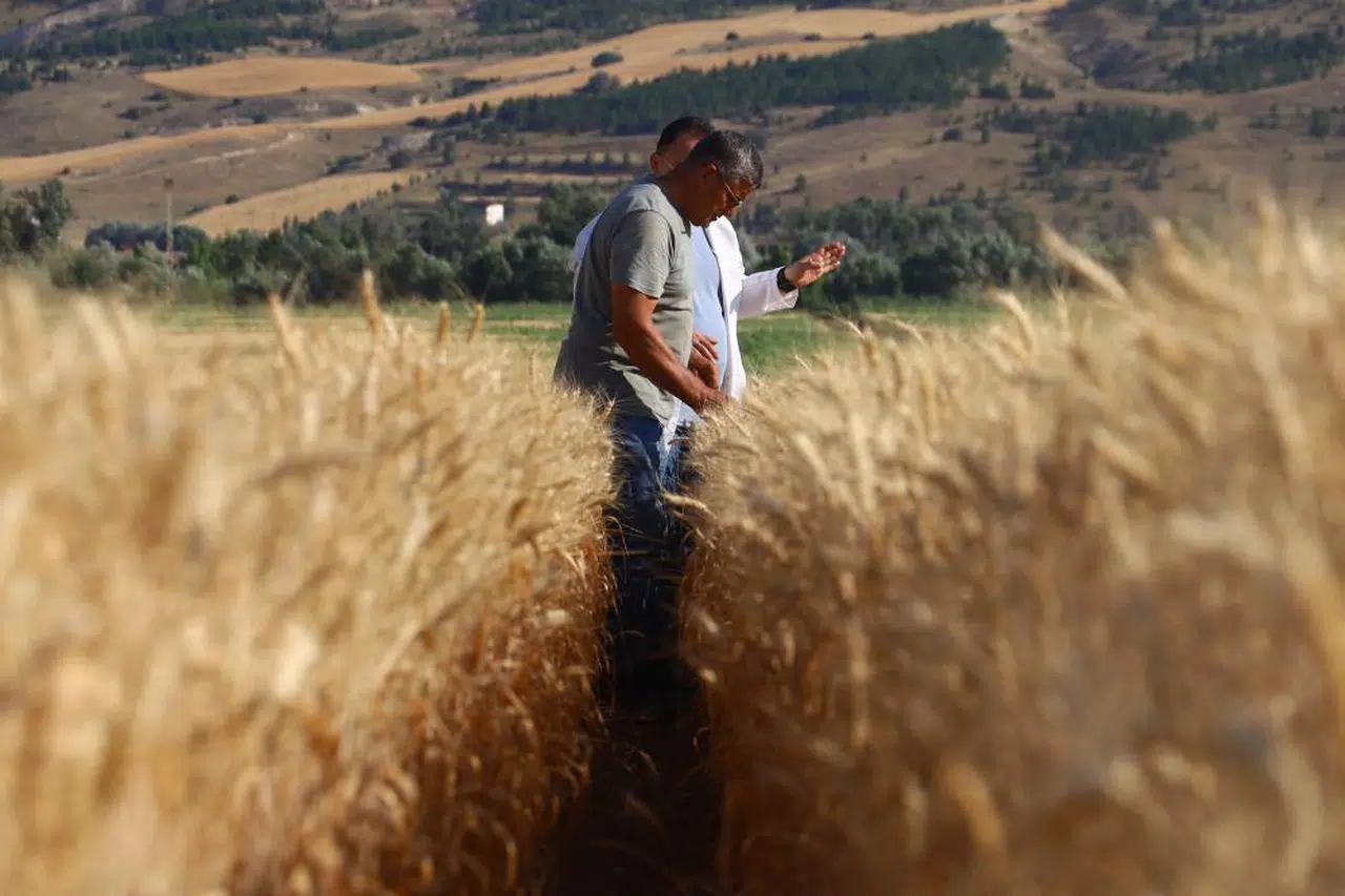 Sivas'ın Kaderini Değiştirecek Gelişme!