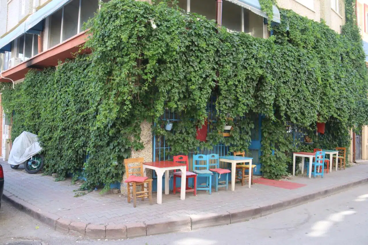 Sivas'taki Bu Sarmaşıkların Altında Bir Kafe Var!