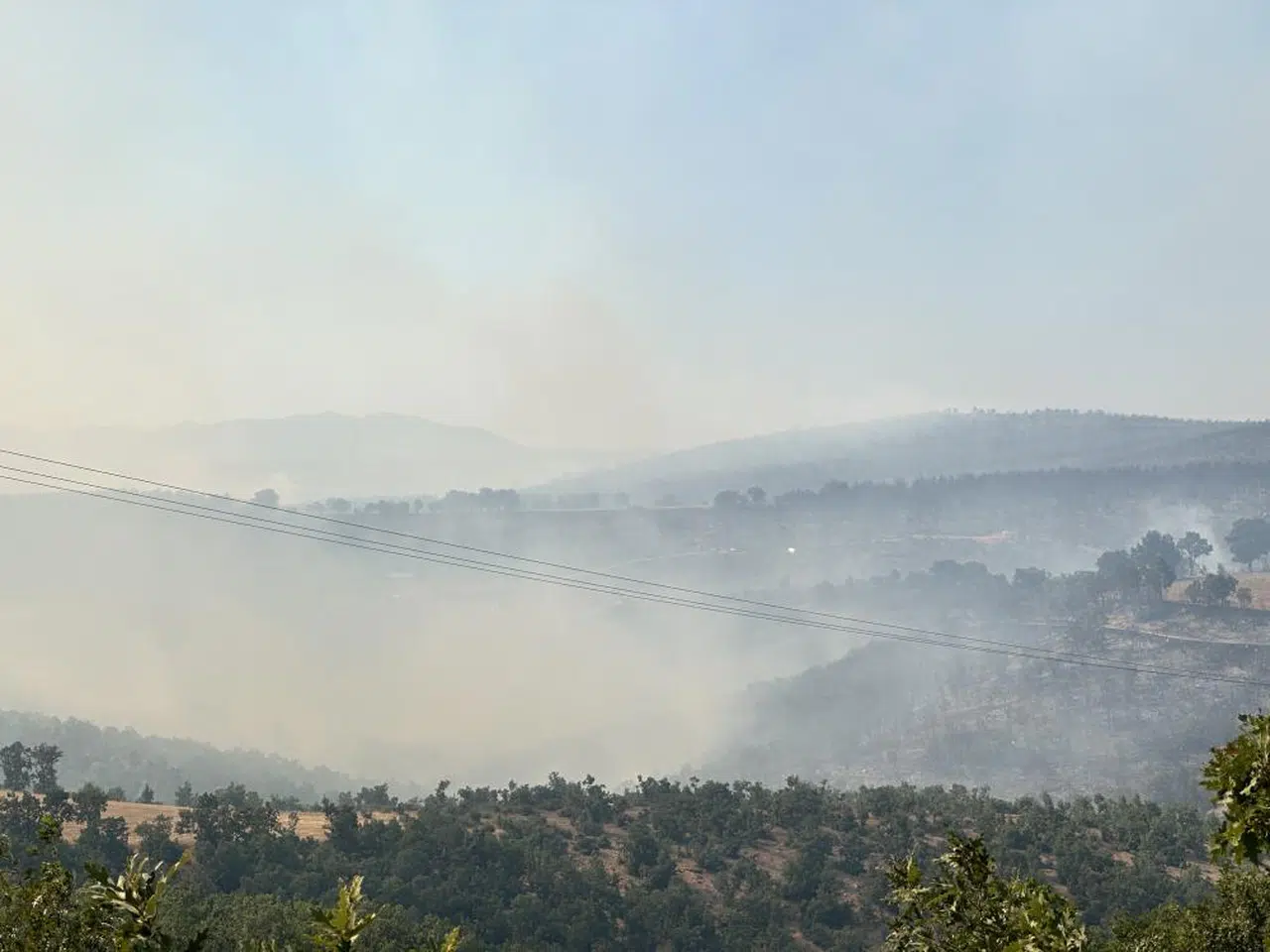 Sivaslı ilçesinde çıkan orman yangını kontrol altına alındı
