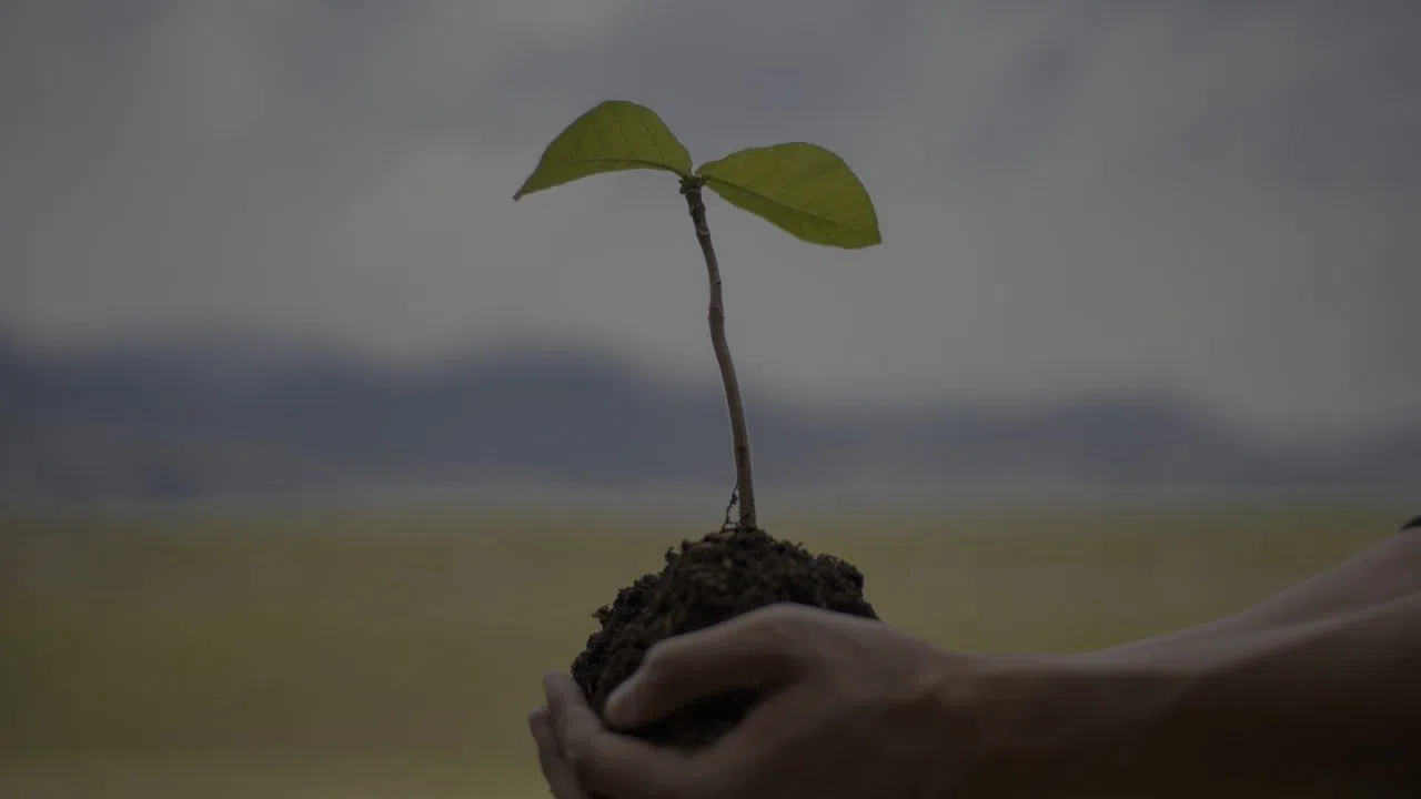 O Meslek Sahipleri Bu Tarihe Dikkat! Sınavın Günü ve Şartları Resmen Belli Oldu!