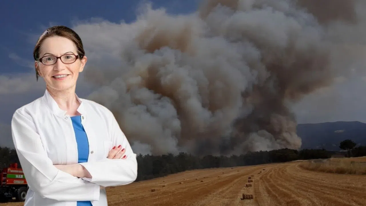 Orman Yangını Sönse Bile Tehlike Aylarca Geçmiyor!