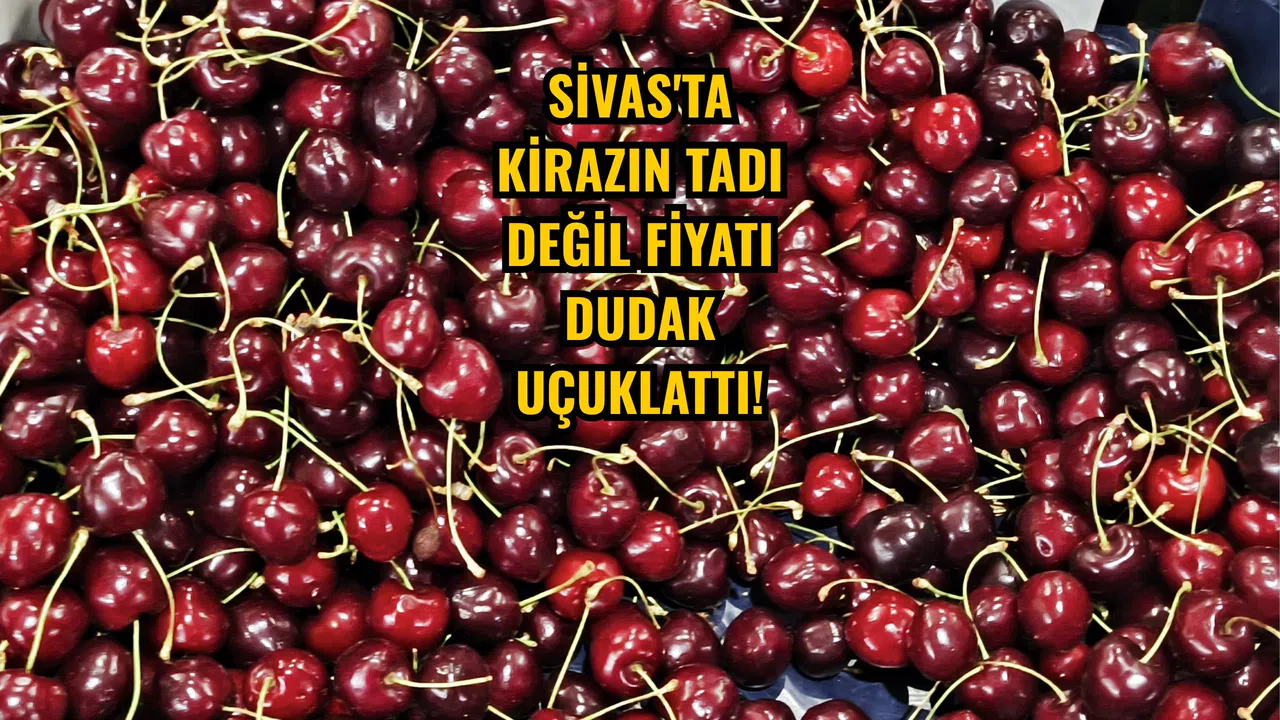 Sivas'ta Kirazın Tadı Değil Fiyatı Dudak Uçuklattı!