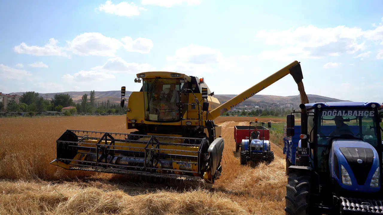 Sivas Cumhuriyet Üniversitesi'nde hasat bereketi