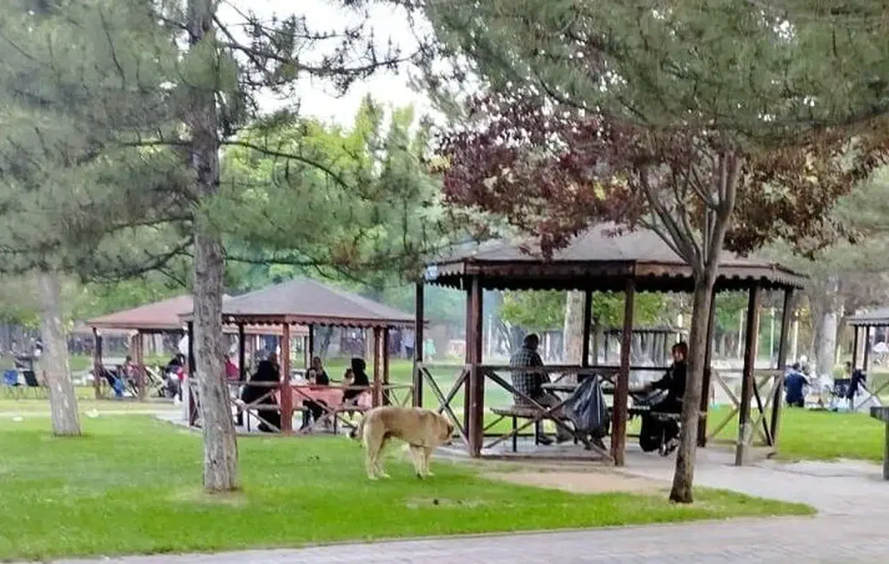 Sivaslılar Kış Gelmeden Harekete Geçti!