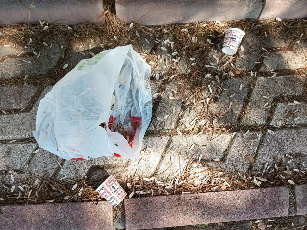 Sivas'ta duyarsız vatandaşlar isyan ettirdi!