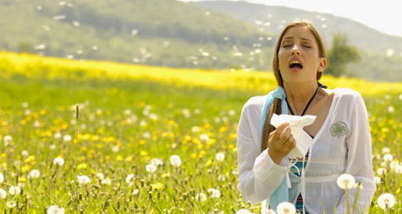 Sürekli Hapşırık ve Nefes Darlığı mı Çekiyorsunuz? Bu Haber Sizin İçin!