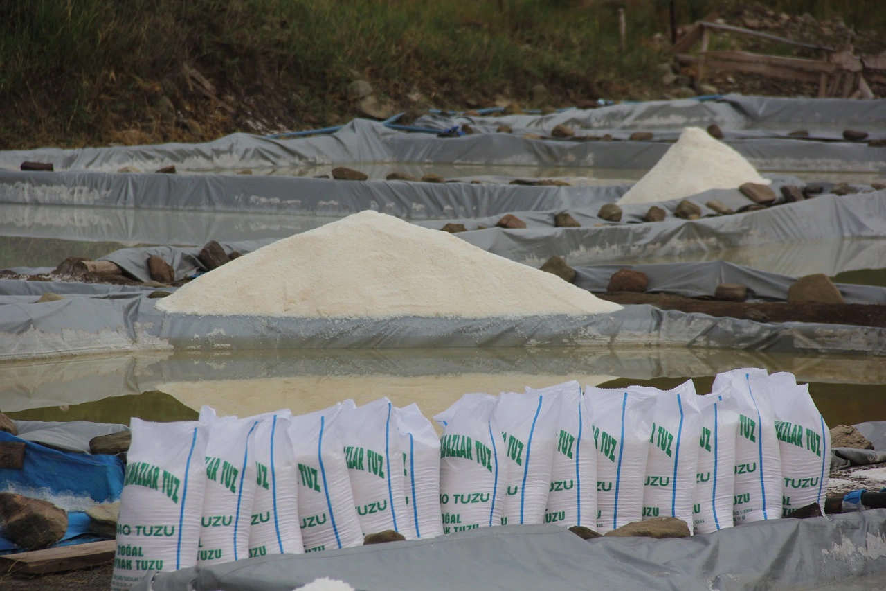 Sivas'ta Esmer Tuzun Lezzeti Japonya’ya Taşınıyor