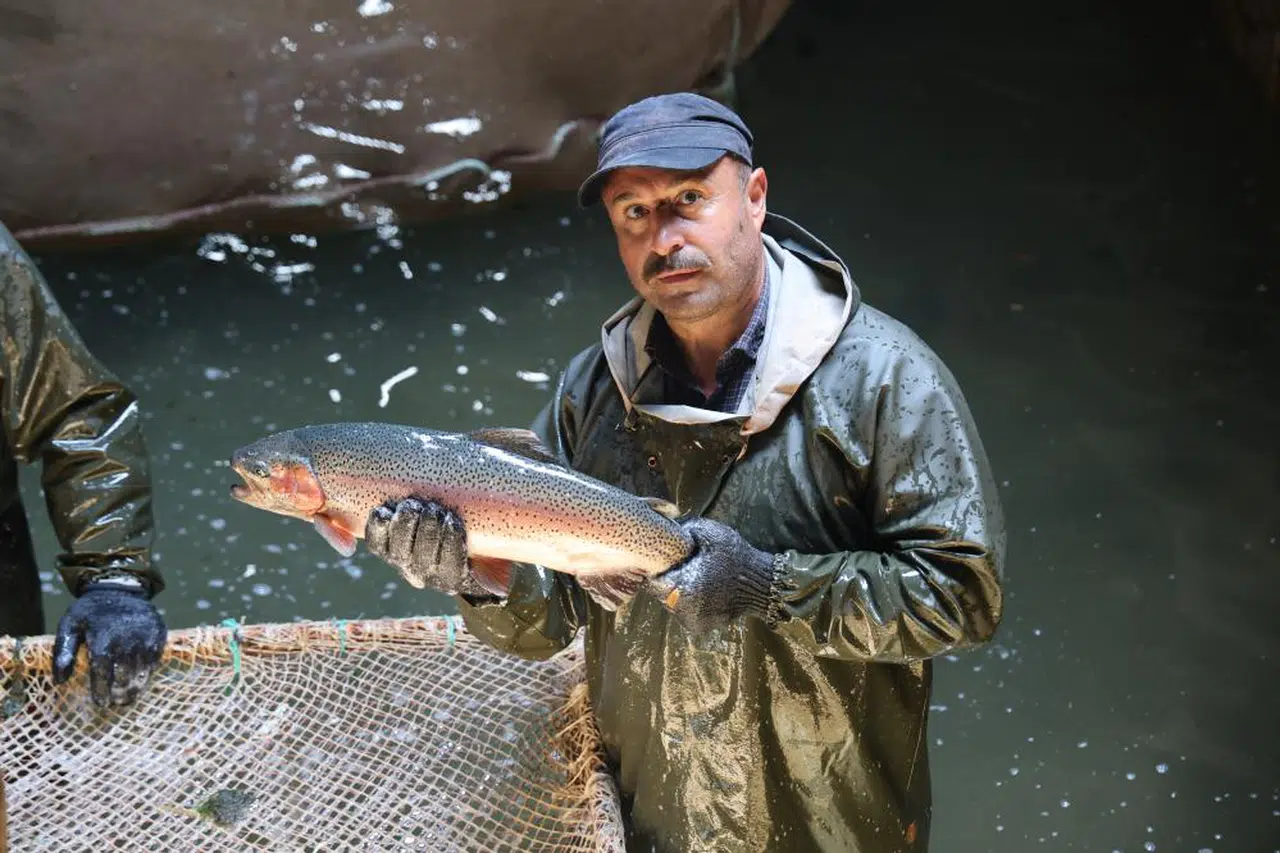 Sivas'tan Karadeniz'e Oradan Rusya'ya Gidiyorlar!