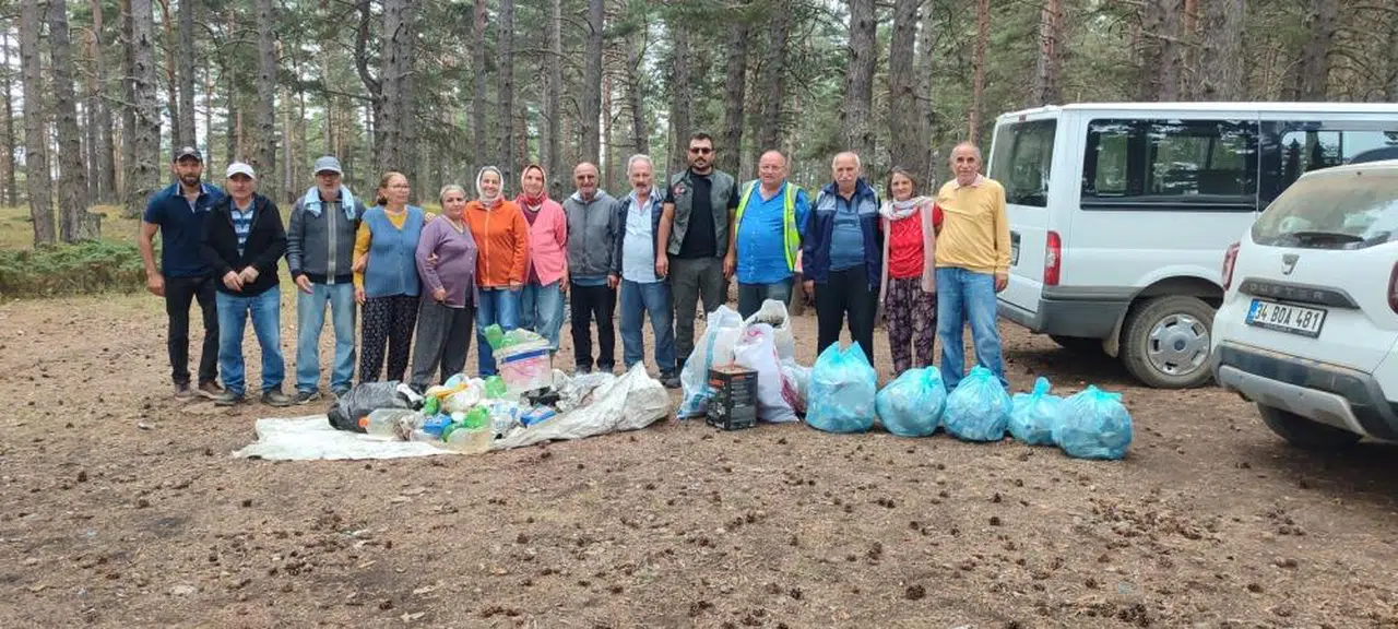 Sivas ormanlarında temizlik zamanı...