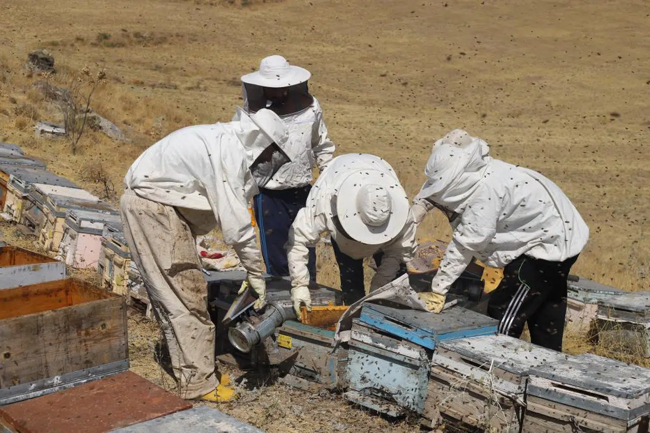 Bal için sayılı günler