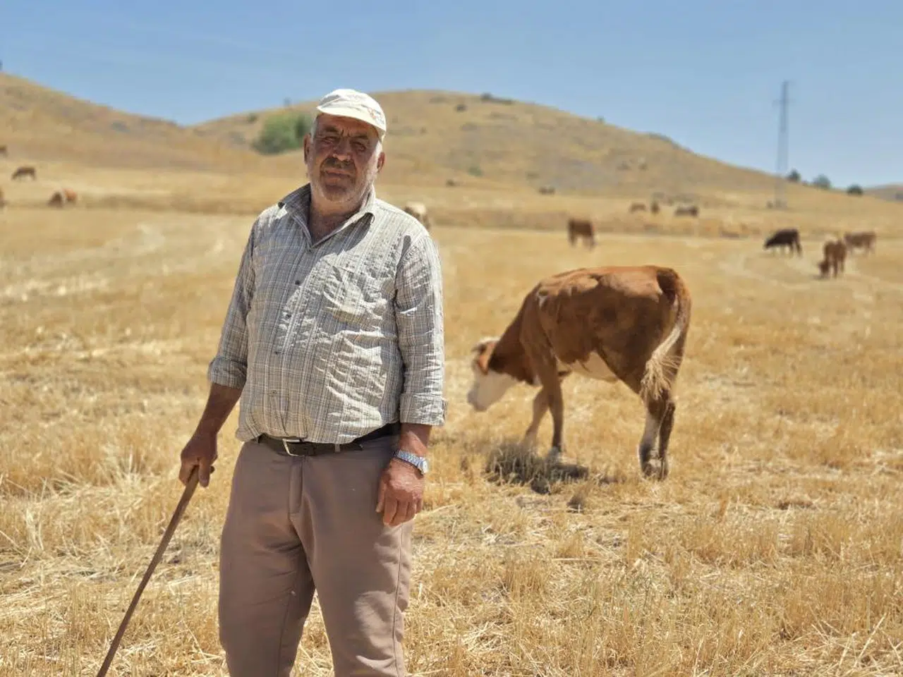 Sağlığını çobanlığa borçlu