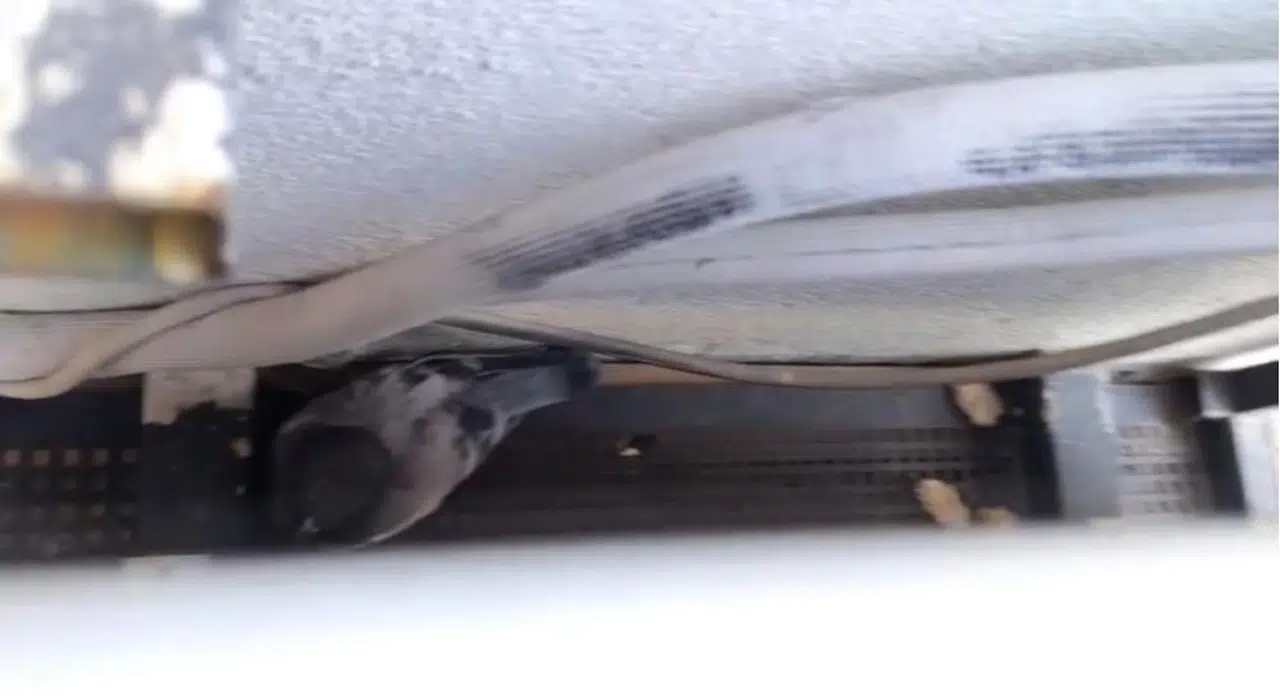 Sivas’ta Güvercini Ölümden İtfaiye Kurtardı