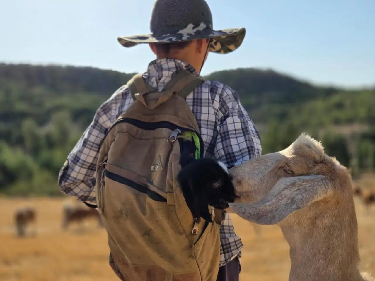 Çantasındaki Sırla Köye Döndü