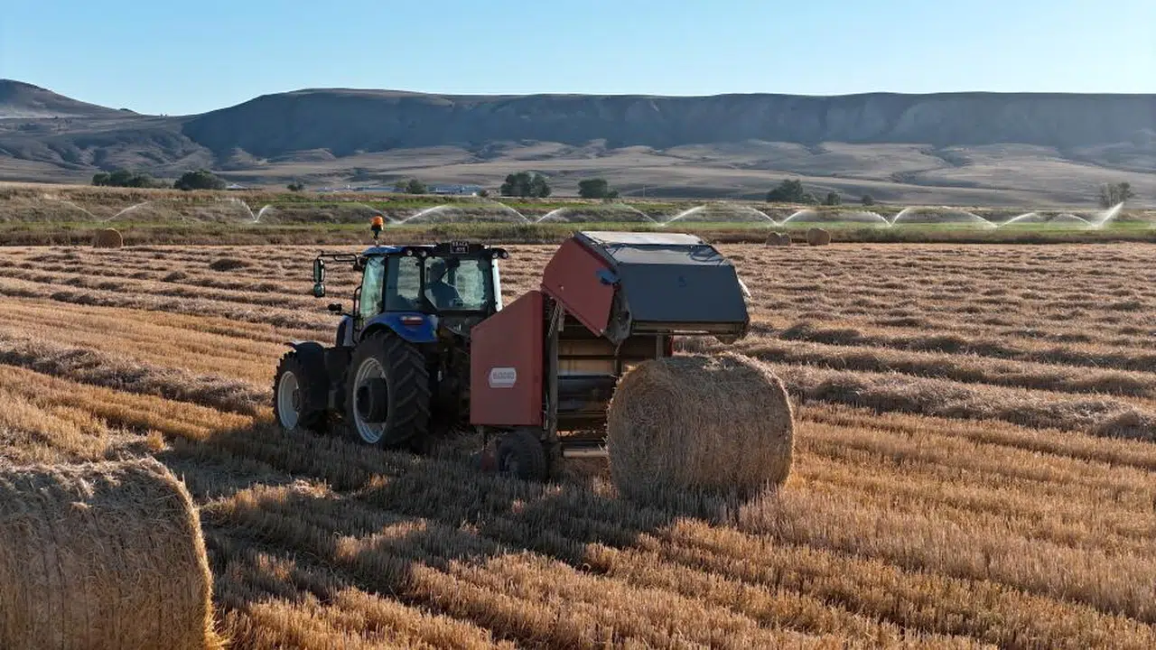 Sivas'ta tarıma TİGEM mührü...