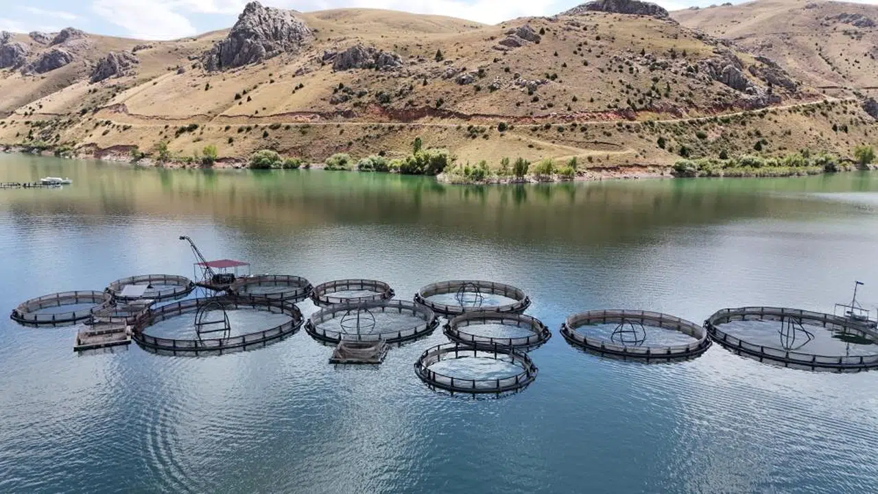 Denizi olmayan Erzincan’da su ürünleri üretimi dikkat çekiyor