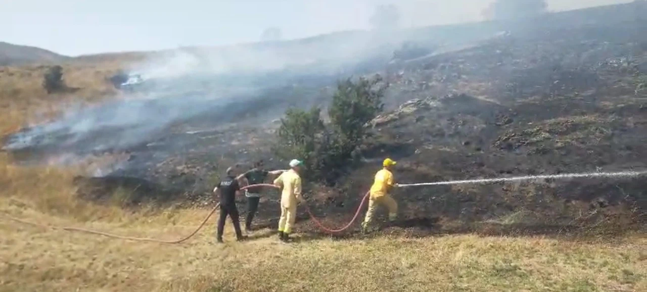 Tokat’ta çıkan örtü yangını ekipler ve vatandaşlar tarafından söndürüldü