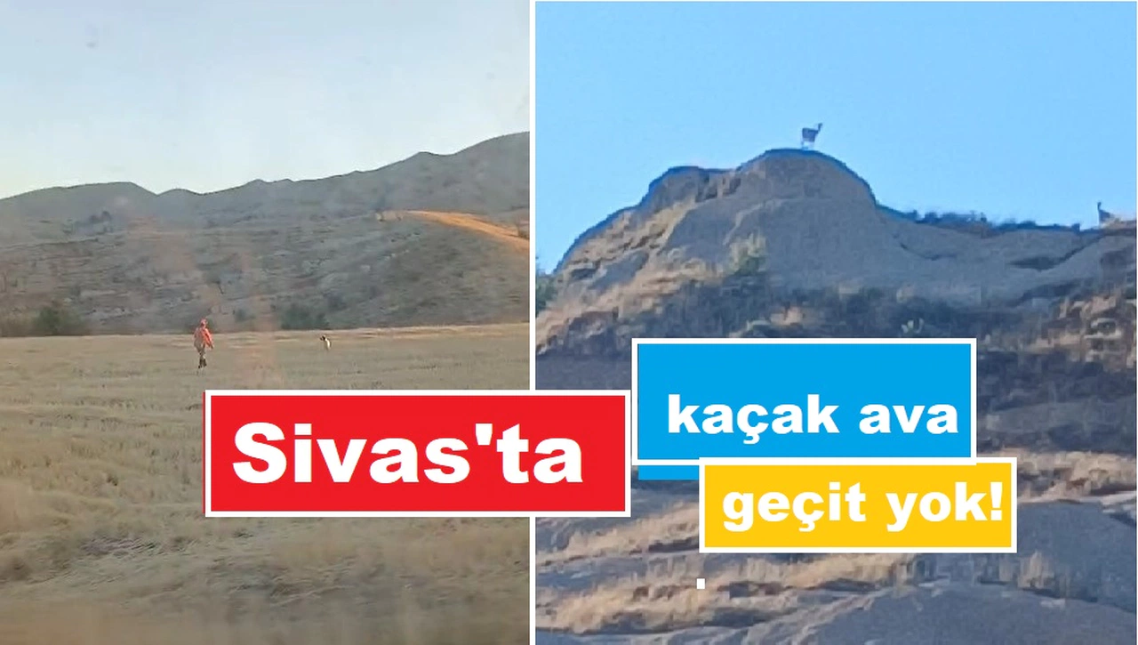 Sivas'ta 13 avcı yakalandı...