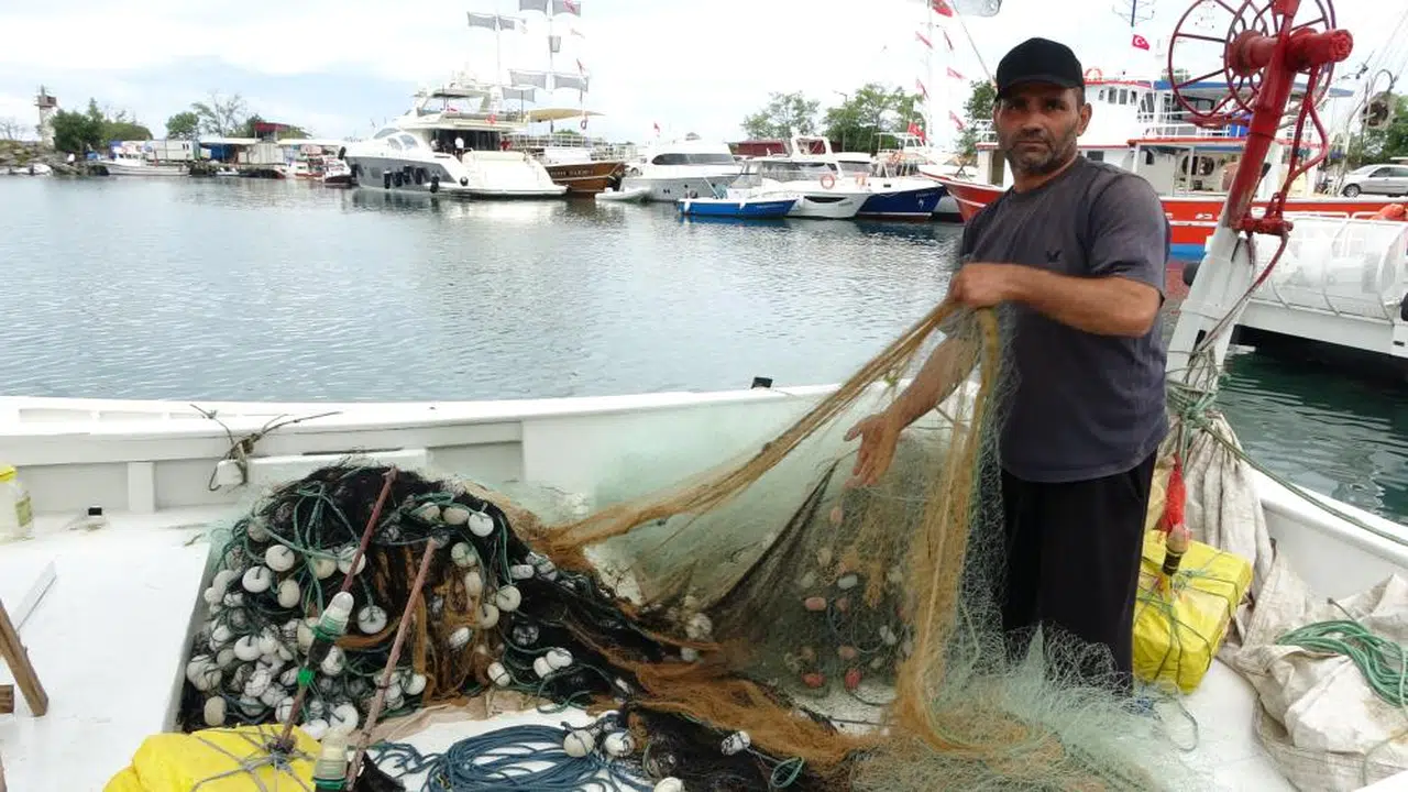 Sezon Öncesi Karadeniz Balıkçıları Hamsiye Odaklandı