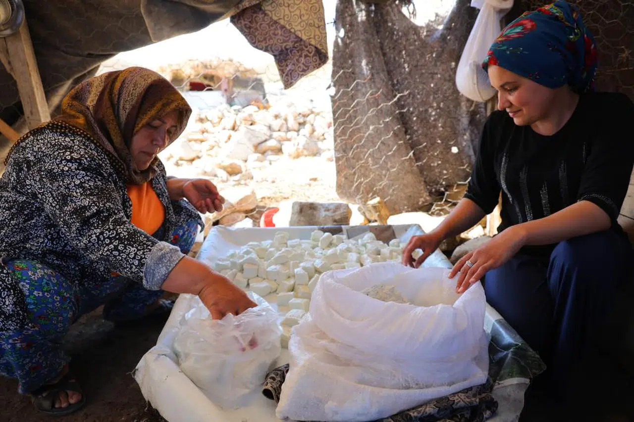 Yaylalarda peynir telaşı