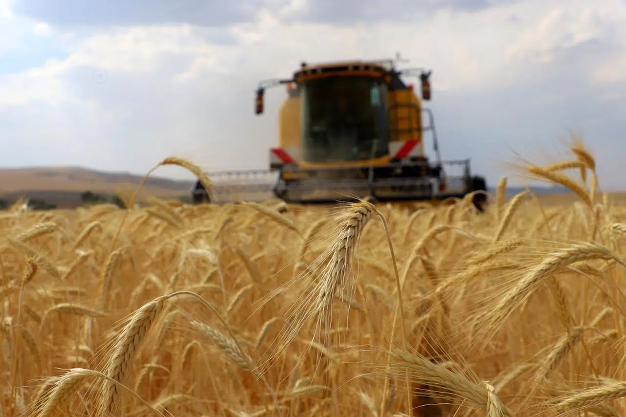 ÇKS başvuruları başlıyor! İşte dikkat edilmesi gerekenler