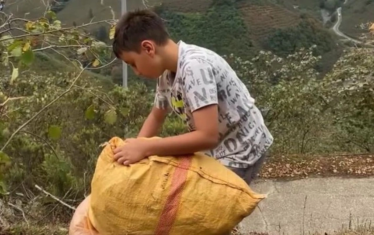 Fındıkları Gazze için topluyor...