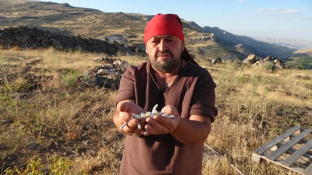 Doğanın vergisi piyasada 10 bin TL