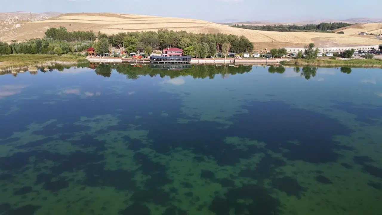 Sivas'ın korunan gölüne büyük ilgi!..