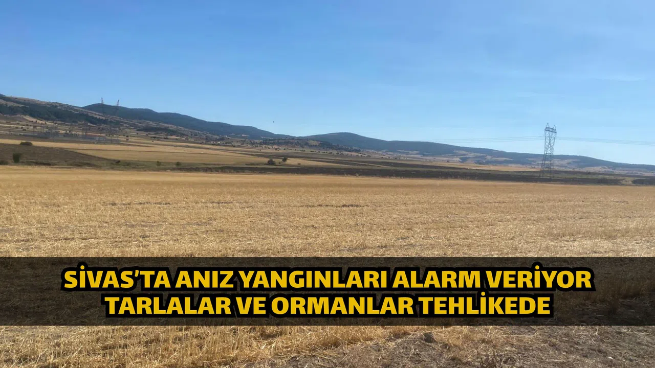 Sivas’ta Anız Yangınları Alarm Veriyor Tarlalar ve Ormanlar Tehlikede