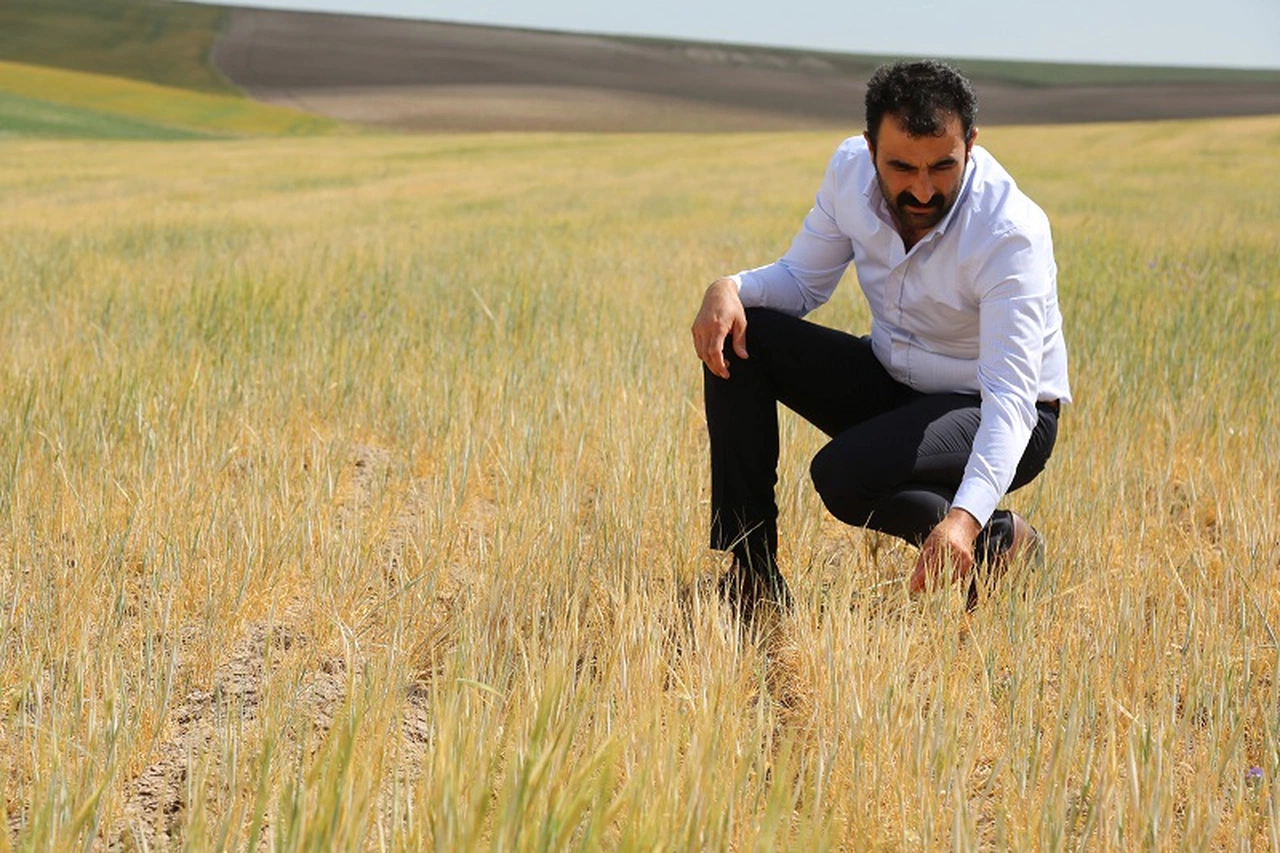 Sivas'tan gübre ve tohum fiyatlarına denetim talebi