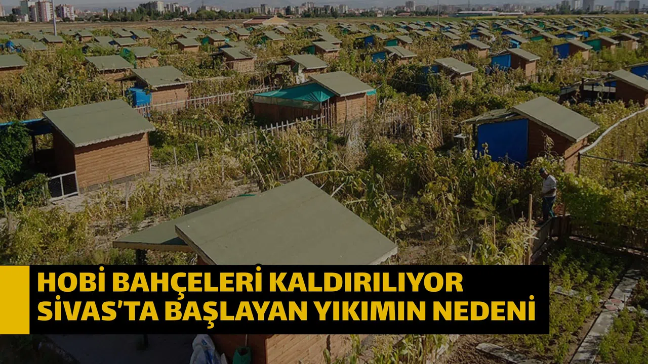 Hobi bahçeleri kaldırılıyor Sivas’ta başlayan yıkımın nedeni