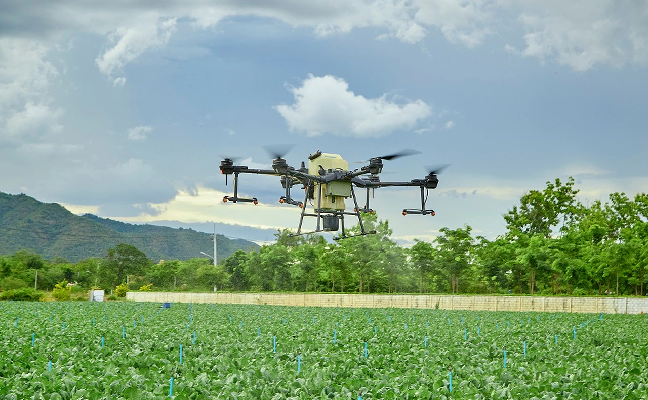 SBTÜ Pilot Üniversite oldu