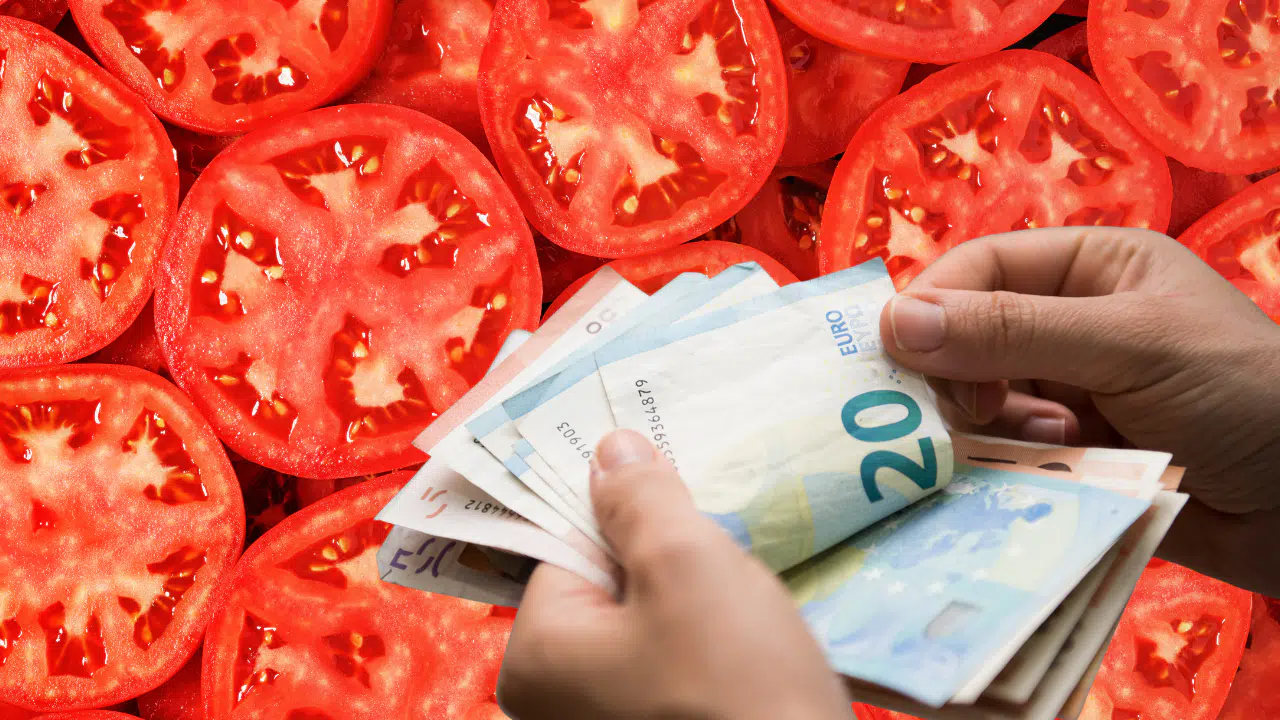 Elazığ'dan Dünyaya Açılan Lezzet: 4 Euro'luk Domatesin Sırrı Ne?