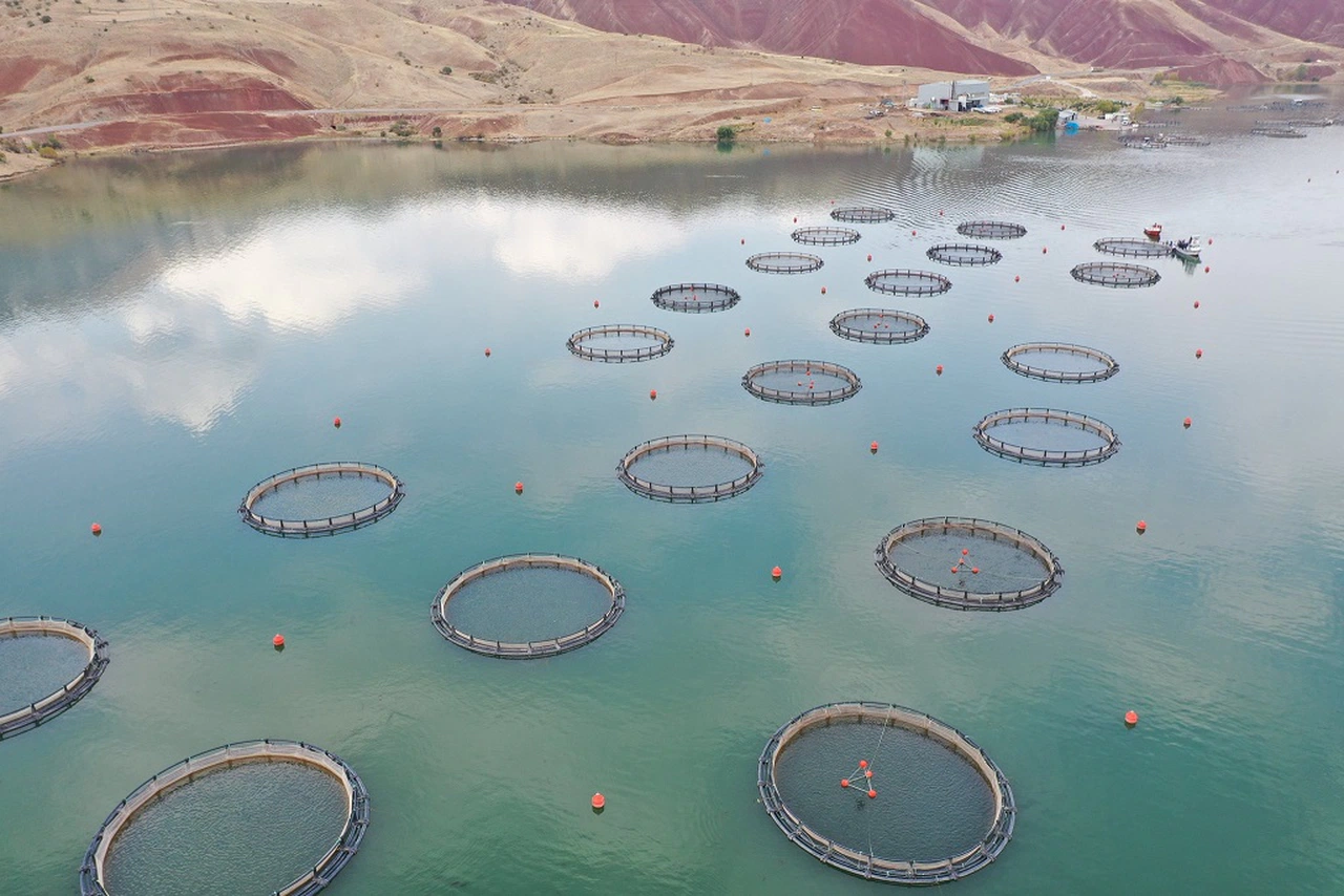 Sivas'ta bu tesis alabalık fabrikası