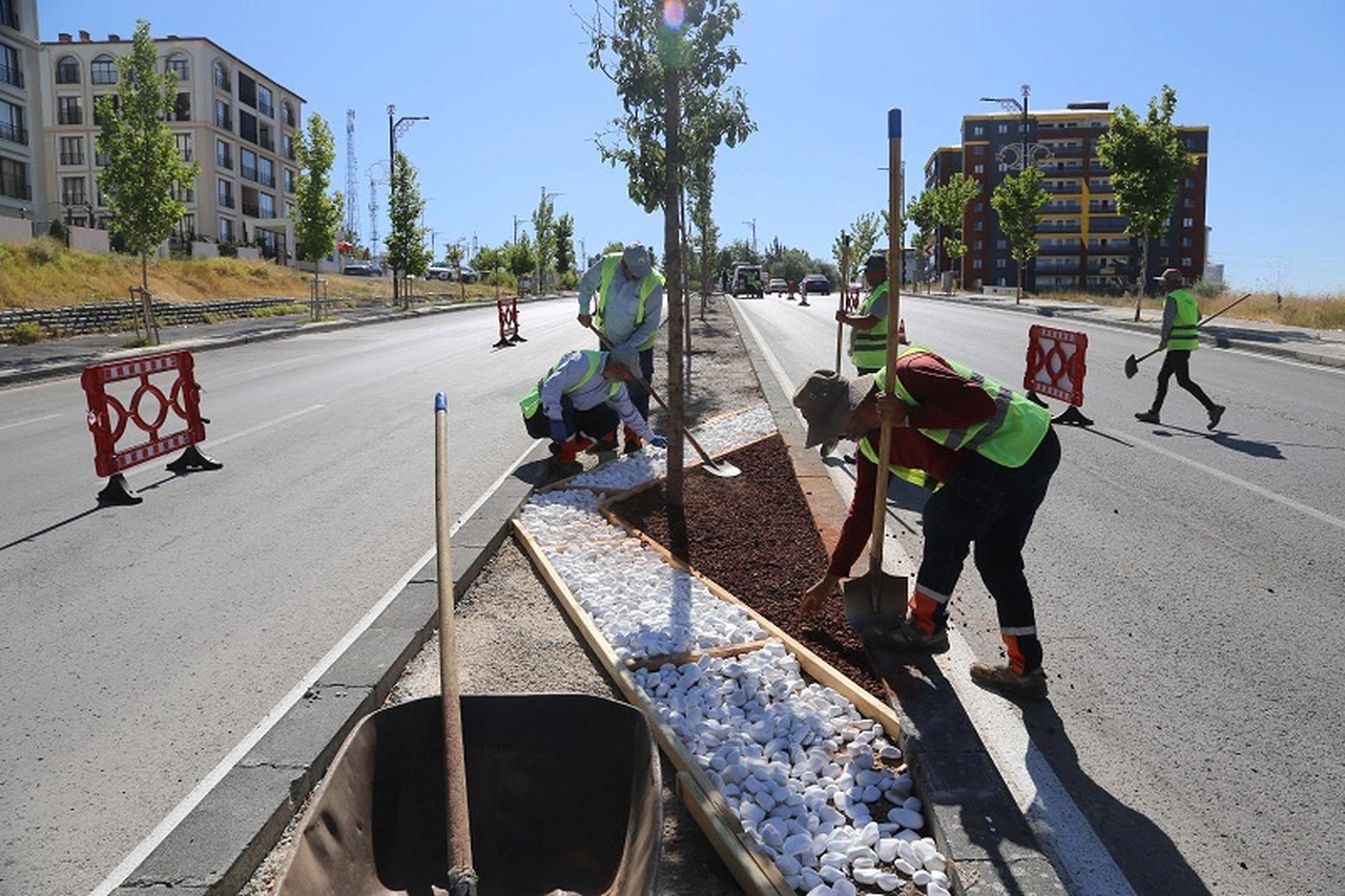 Sivas Belediyesi’nden yeşil gelecek için mesai