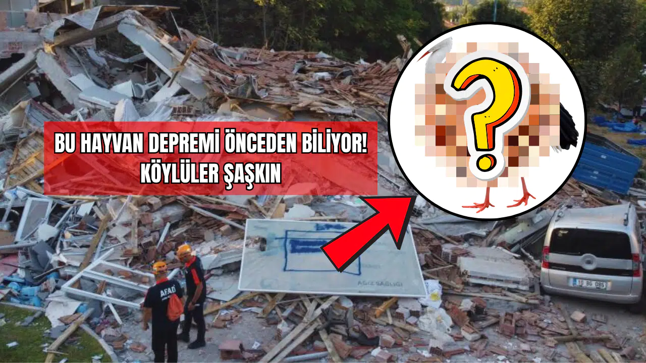 Bu Hayvan Depremi Önceden Biliyor! Köylüler Şaşkın