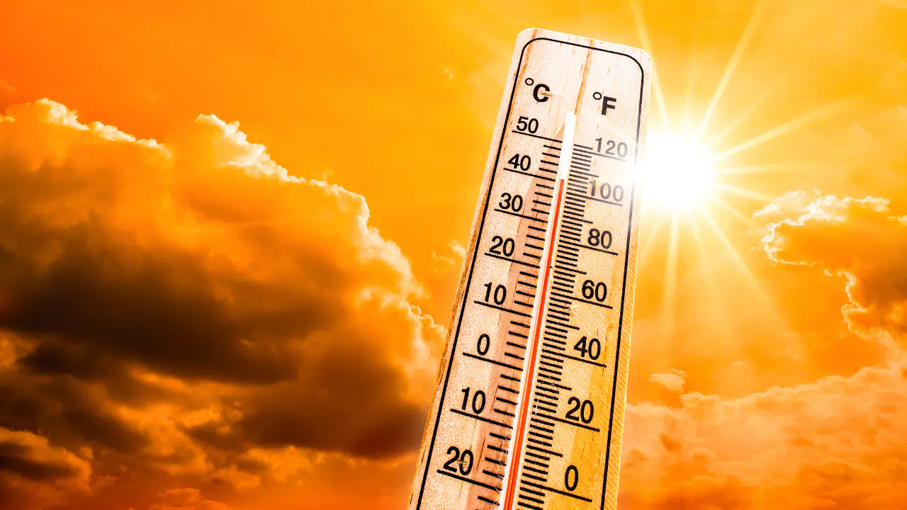 Aşırı Sıcaklardan 56 Kişi Hayatını Kaybetti !