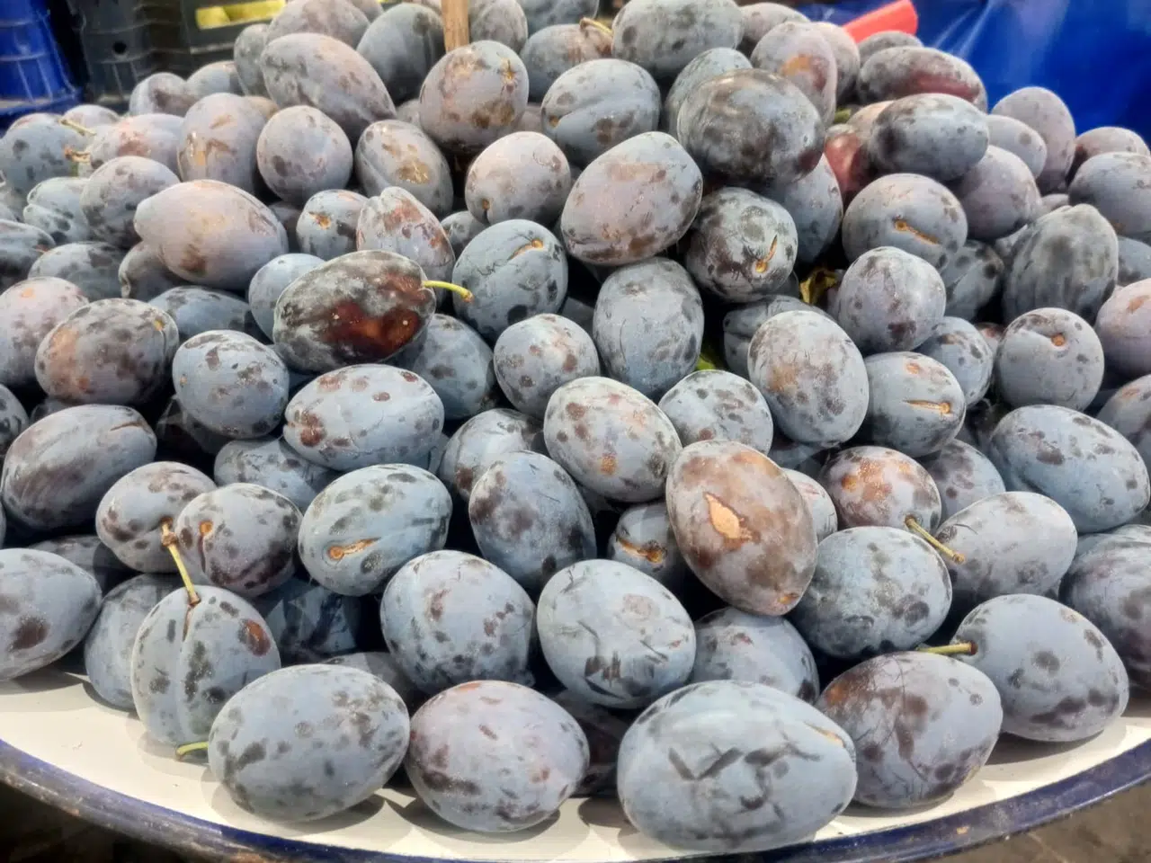 Sivas'ta O Meyvenin Adını Duyan Tezgahlara Koşuyor!