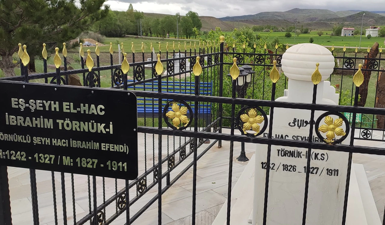Sivas'ta Törnüklü İbrahim Efendi anılacak