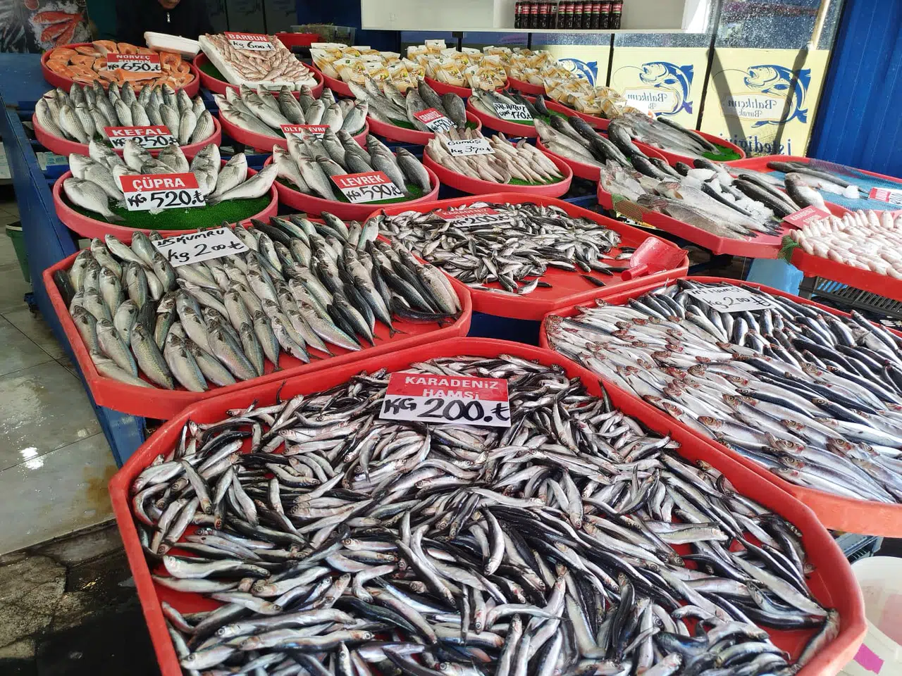 Tezgahlar Balık Doldu, Sivaslının Tepsisi Boş Kaldı!