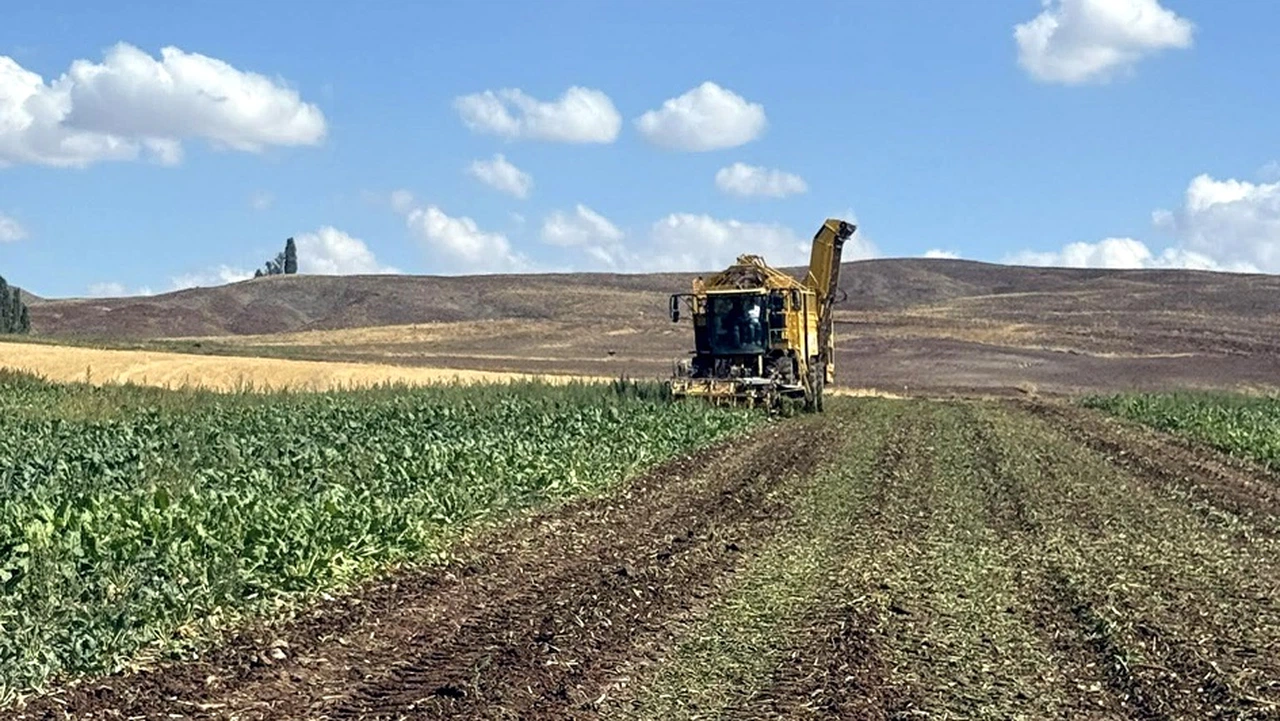 Gemerek’te pancar hasadı başladı