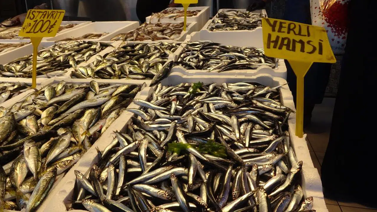 İlk balıklar tezgahta, hamsi fiyatları şok etti...