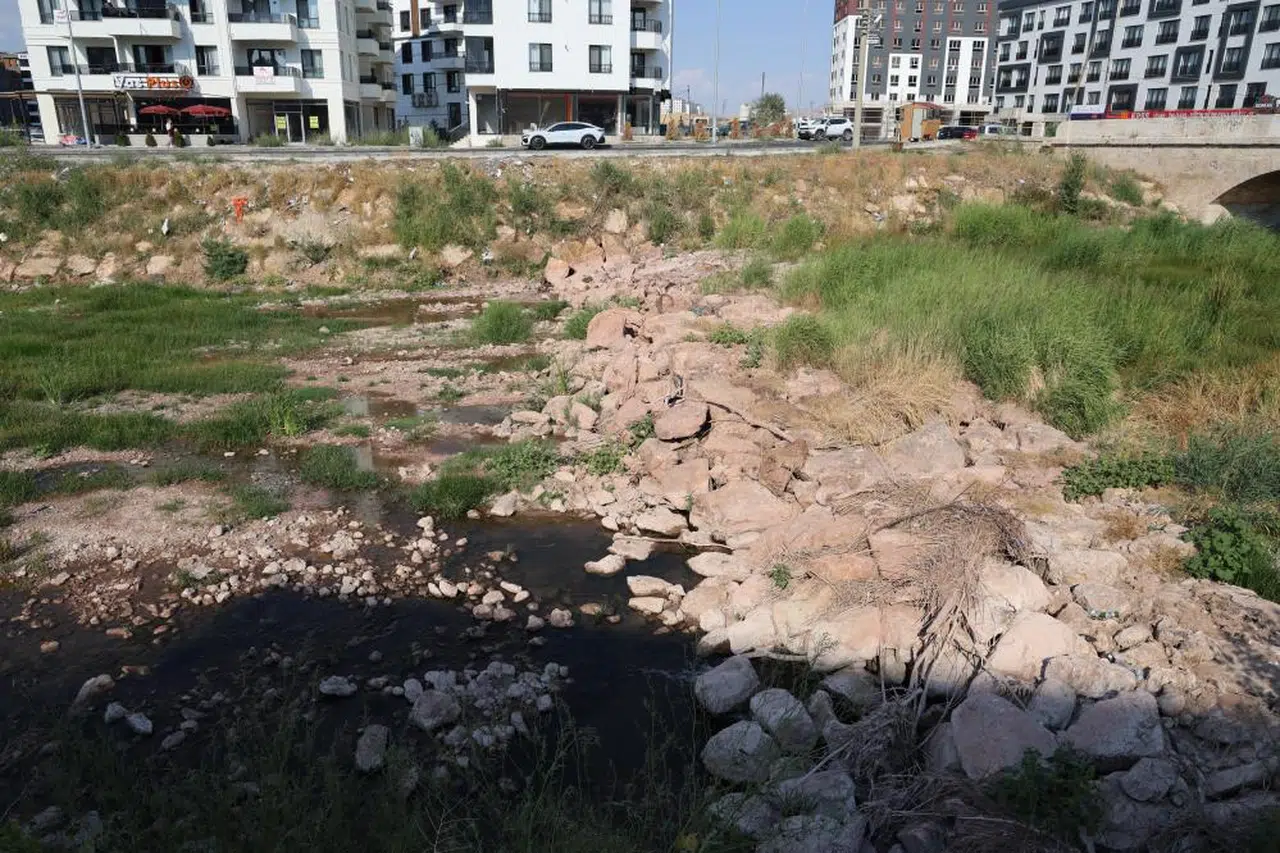 Kızılırmak’a renk katan ırmak sazlıklara teslim oldu