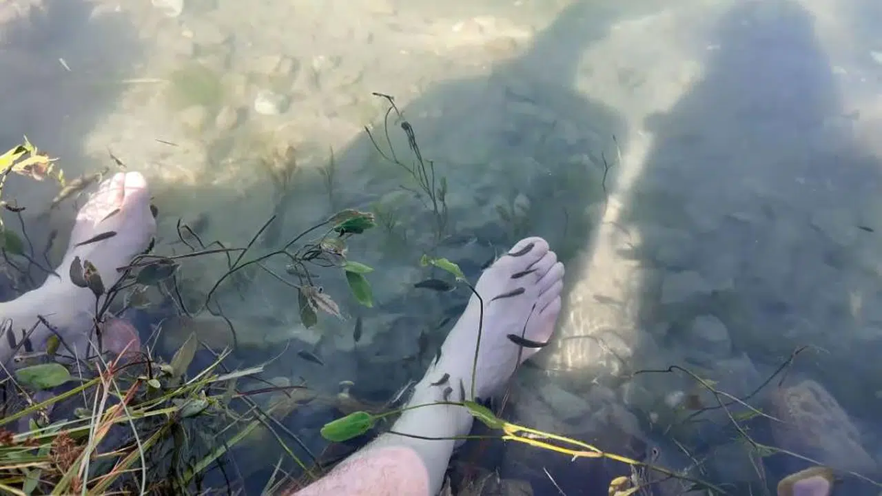 Sivas'taki O Eşsiz Hazine Tehlike Altında!