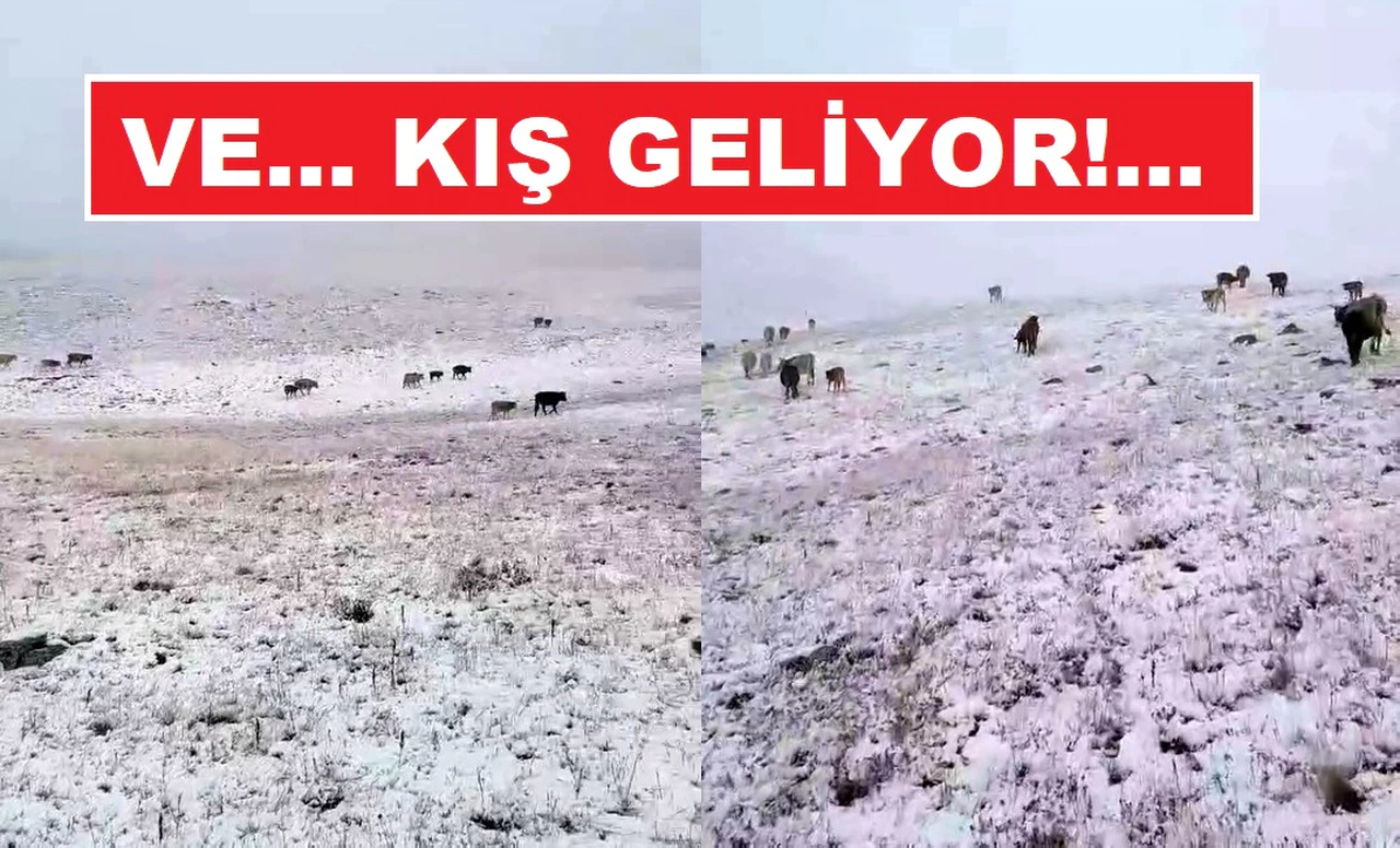 Mevsimin ilk kar yağışı doğudan düştü!..