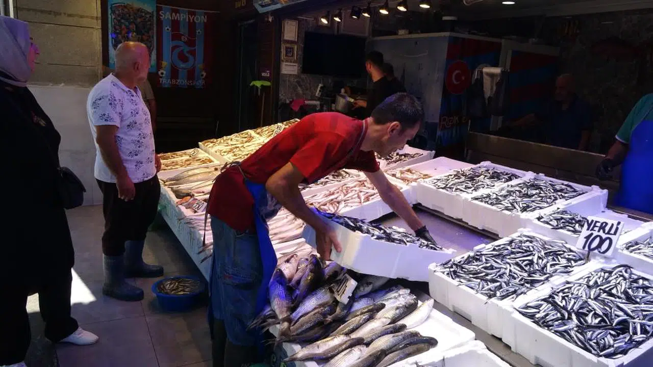 Denizde hamsi bollaştı, fiyatlar düşecek mi?