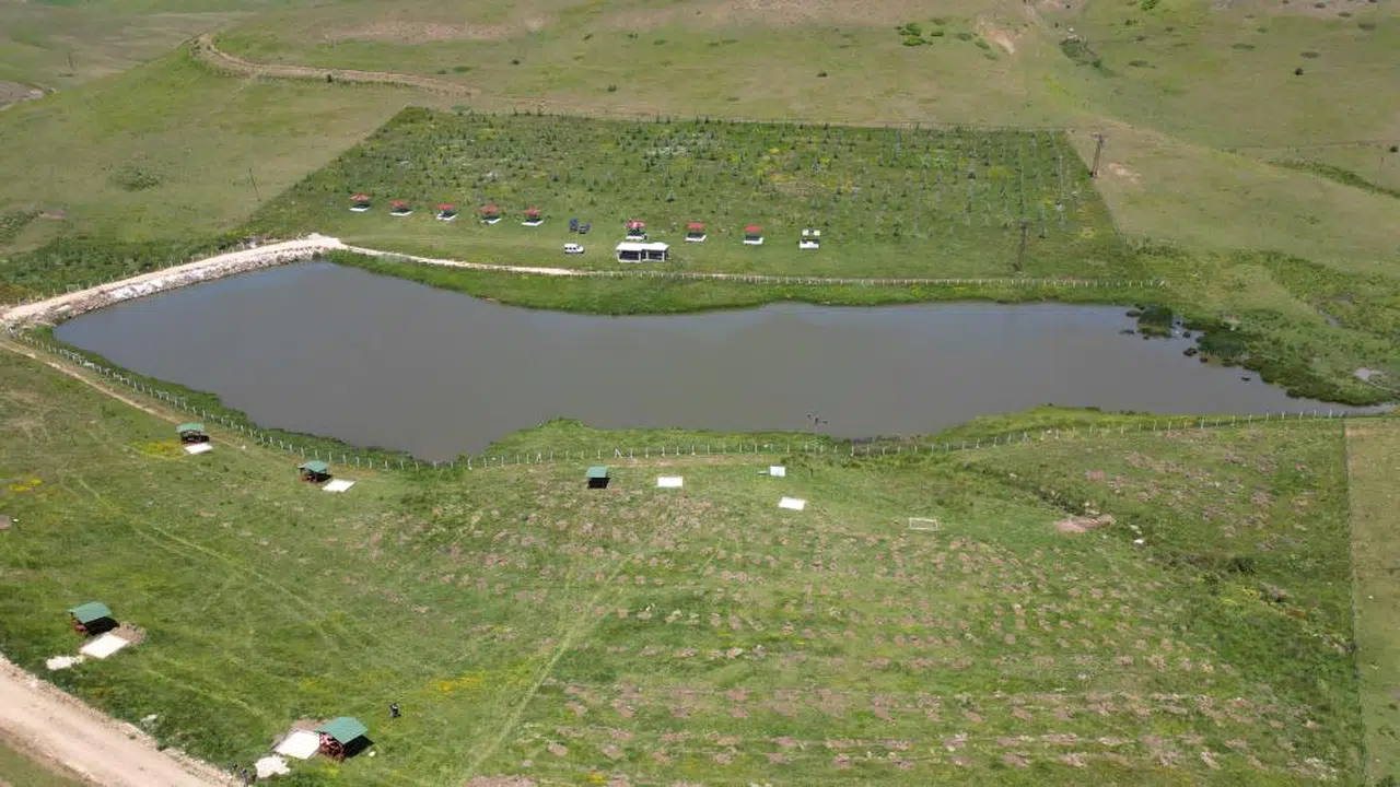 Çam ağaçlarını kurtarıp gölete can verdiler