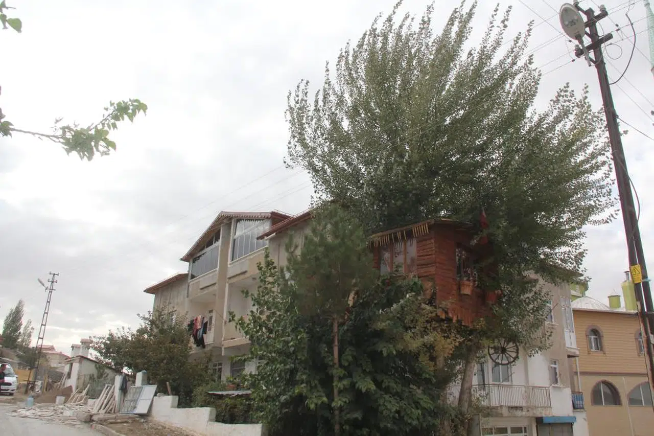 Sivas'ta oğlunun ağaç evini yeniden yapacak...